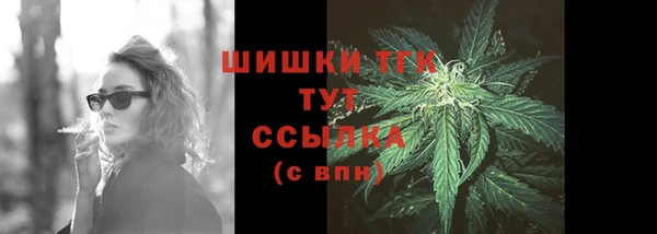 стаф Карталы