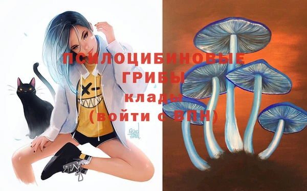 стаф Карталы