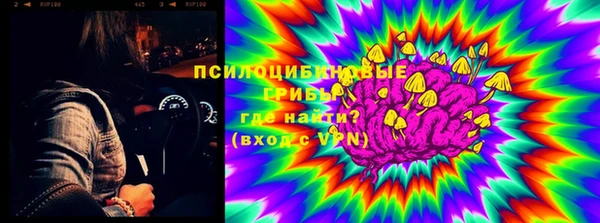 стаф Карталы
