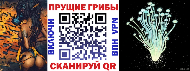 Псилоцибиновые грибы Psilocybe  купить наркоту  Нариманов 